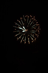 Fireworks in the night sky 