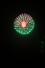 Fireworks in the night sky 