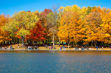 Lac aux Castors Automne