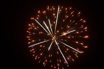 Obraz premium Fireworks in the night sky 