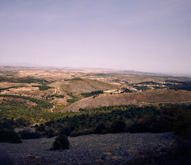 
moncayo beech forest