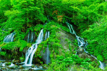 吐竜の滝