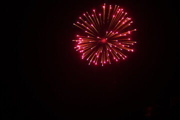 Fireworks in the night sky 