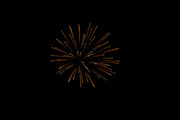 Fireworks in the night sky 