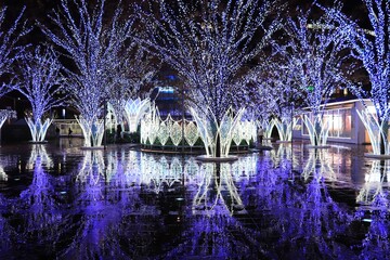 イルミネーション