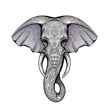Contour color native elephant head with trunk, tusks and boho ornaments. Ganesha head with decoration. Vector drawing for cards, banners and your creativity.