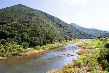 Fototapeta na wymiar Mountain green valley river creek landscape. River creek in mountain valley.