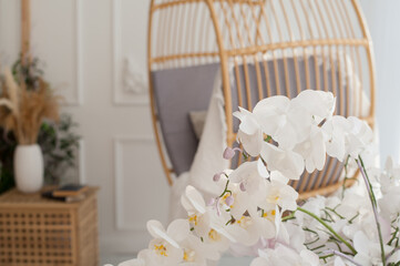 white interior with round swing and white orchid