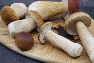 Boletus mushrooms on a wooden tray. Boletus prepared for cooking. Boletus edulis. Closeup