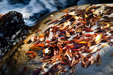 秋のたたずまい