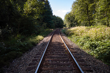 long stretching railroad on a sunny day surrounded by green bushes and trees on both sides