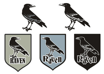 Vector illustration of raven, logo design with raven, black raven. Emblem with raven
