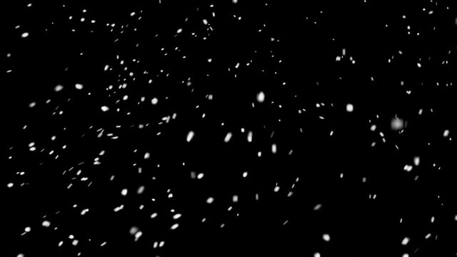 Snow. 
Compatible with any non-linear editor: Adobe Premiere, Adobe After Effects, Final Cut, Sony Vegas, Movie Maker, Avid or any your favorite compositing app.