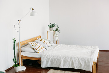 home interior, bed, pillows, blankets, indoor plants, light lamp, apartment