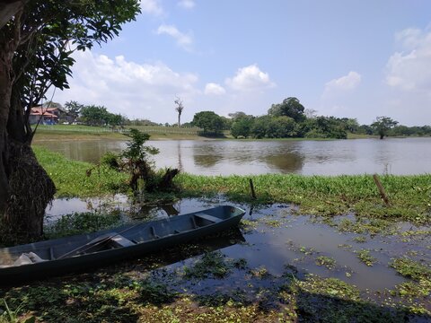 Amazon - Brazil