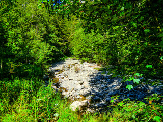 Fototapeta premium Lago Nero, in the mountains of Abetone, Pistoia, Tuscany, Italy, in summer.