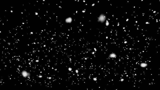 Snow Front looped. 
Compatible with any non-linear editor: Adobe Premiere, Adobe After Effects, Final Cut, Sony Vegas, Movie Maker, Avid or any your favorite compositing app.