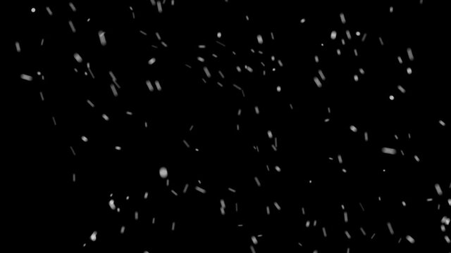 Falling Snow 2. 
Compatible with any non-linear editor: Adobe Premiere, Adobe After Effects, Final Cut, Sony Vegas, Movie Maker, Avid or any your favorite compositing app.