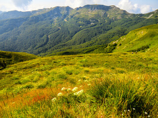 Panoramic View of Gomito mountain, Abetone, Pistoia, Tuscany, Italy, in summer.