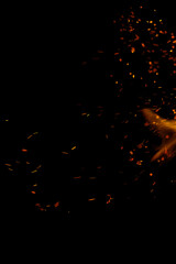 fire flame with sparks on black background