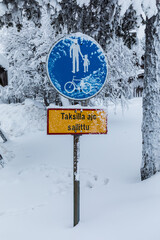 サーリセルカの日常