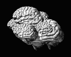 Abstract group of brains in human shape on black BG