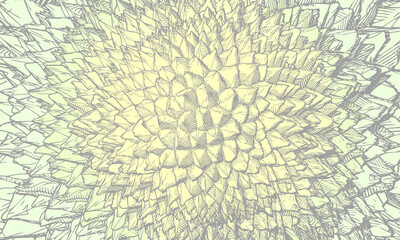 Abstract durian drawing pattern background