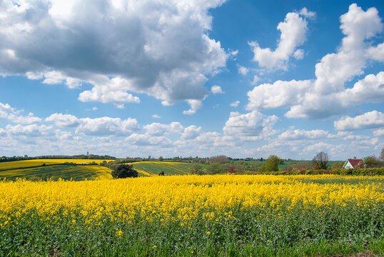 The English countryside in the summer near Thaxted in Essex, UK