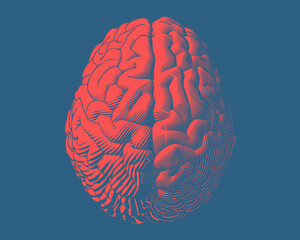 Engraving top view brain illustration on blue BG