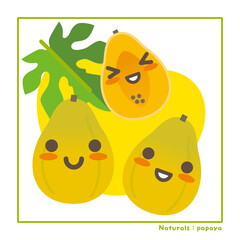 なちゅらるズ　パパイヤ果実で収穫のご案内