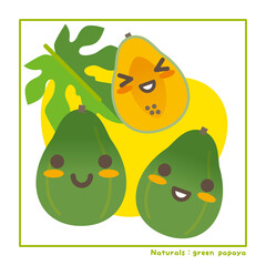 なちゅらるズ　青パパイヤ果実で収穫のご案内