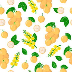 Vector cartoon seamless pattern with Baccaurea or Burmese grape exotic fruits, flowers and leafs on white background