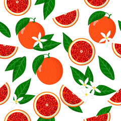 Vector cartoon seamless pattern with Citrus sinensis or Blood orange exotic fruits flowers and leafs on white background