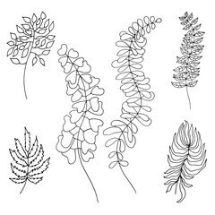 Sketch leaves set. Hand drawn floral black and white elements. Vector illustration.