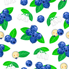 Vector cartoon seamless pattern with Blueberries exotic fruits, flowers and leafs on white background