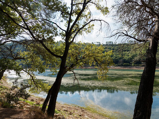 In Summer the walk along forestry path of Carcès lake lined with trees and a lot of wildflowers. Colorful view on low water level