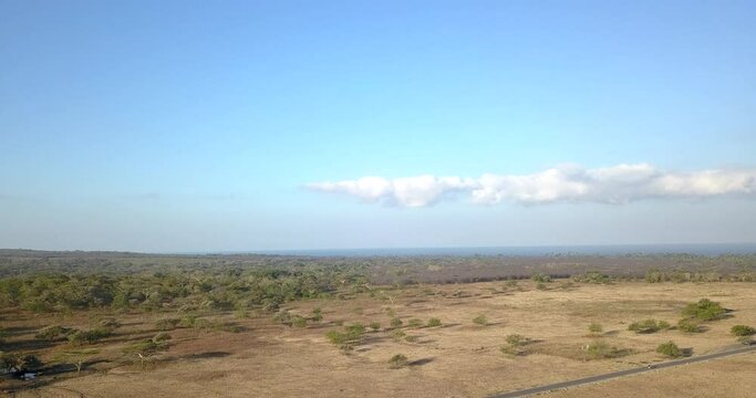 Savanna national baluran park from aerial view