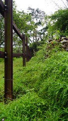 path in the woods