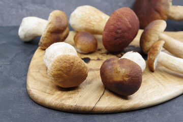 Boletus mushrooms prepared for cooking. Boletus on a wooden tray. Boletus edulis. Closeup