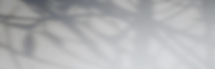 Obraz premium Abstract Shadows, blurred background of gray leaves and natural trees that reflect concrete walls, fallen branches on white wall surfaces for blurred backgrounds and black and white wallpapers.