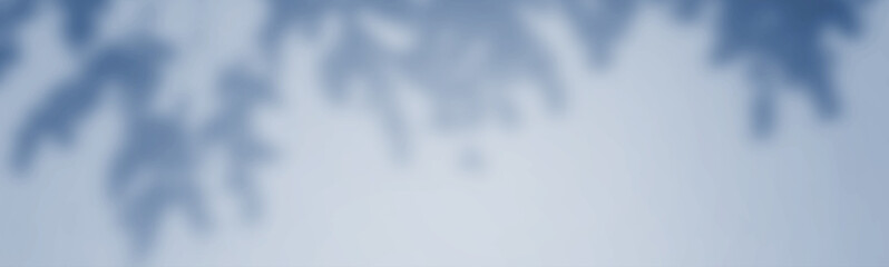 Abstract Shadows, blurred backgrounds, blue leaves, blue and natural trees that reflect concrete walls, fallen branches on the white wall surface for blurred backgrounds and wallpaper.