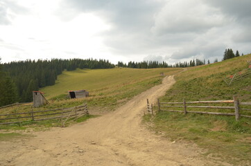 Road in the mountains