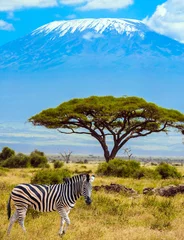 Crédence en verre imprimé Kilimandjaro Voyage dans la Corne de l& 39 Afrique
