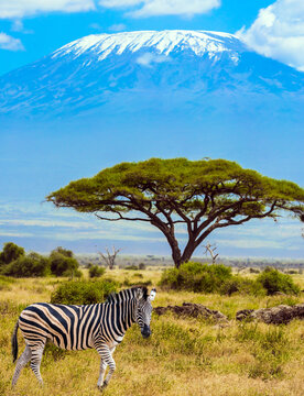 Fototapeta Trip to the Horn of Africa