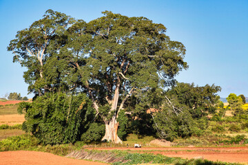 Fototapeta premium Landscape view of myanmar countryside at pindaya, former Burma