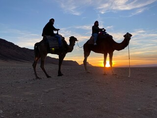 Sunset on the camel