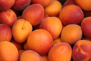 Apricot | Abricot