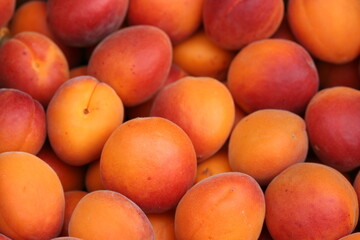 Apricot | Abricot