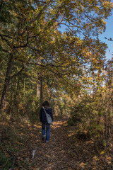 Fototapeta premium 長瀞探索