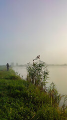Fisherman in the foggy morning